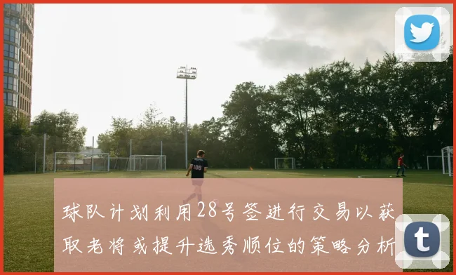 球队计划利用28号签进行交易以获取老将或提升选秀顺位的策略分析